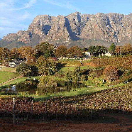 Alluvia Boutique Winery & Luxury Accommodation Stellenbosch Ngoại thất bức ảnh The Paarl Mountain Range
