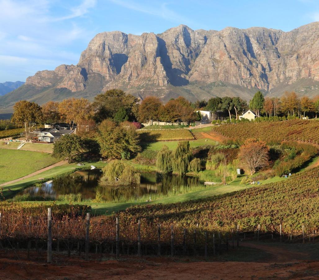 Alluvia Boutique Winery & Luxury Accommodation Stellenbosch Ngoại thất bức ảnh The Paarl Mountain Range