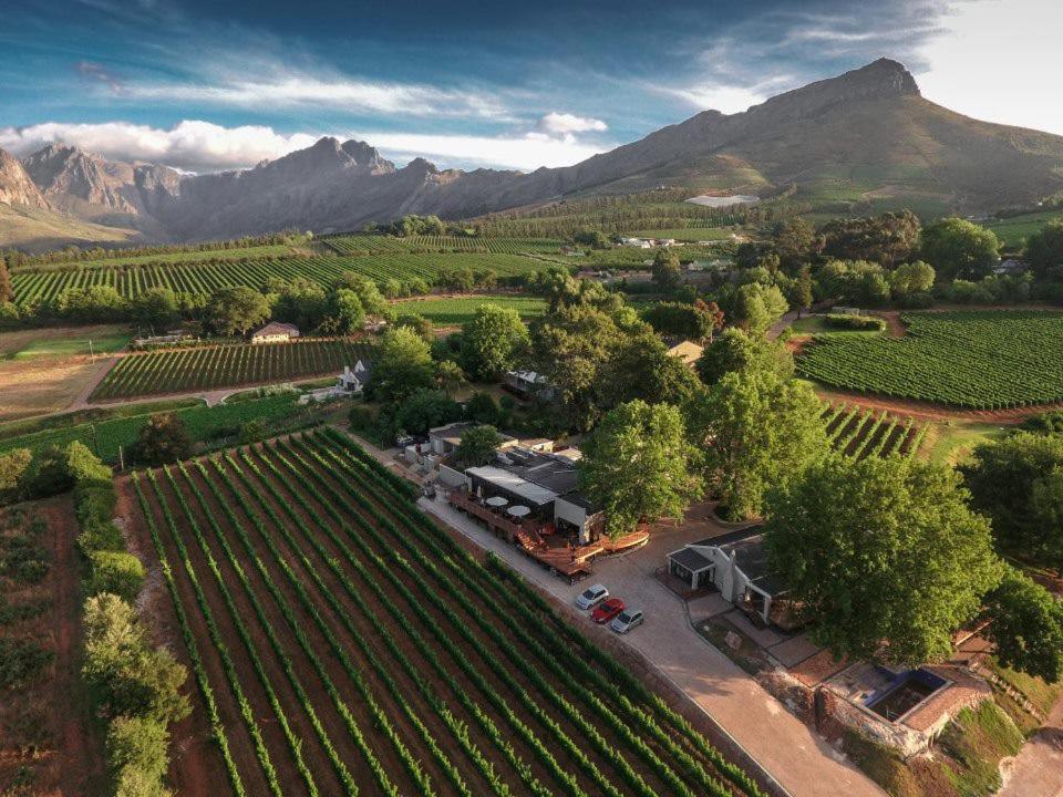Alluvia Boutique Winery & Luxury Accommodation Stellenbosch Ngoại thất bức ảnh Aerial view of the winery