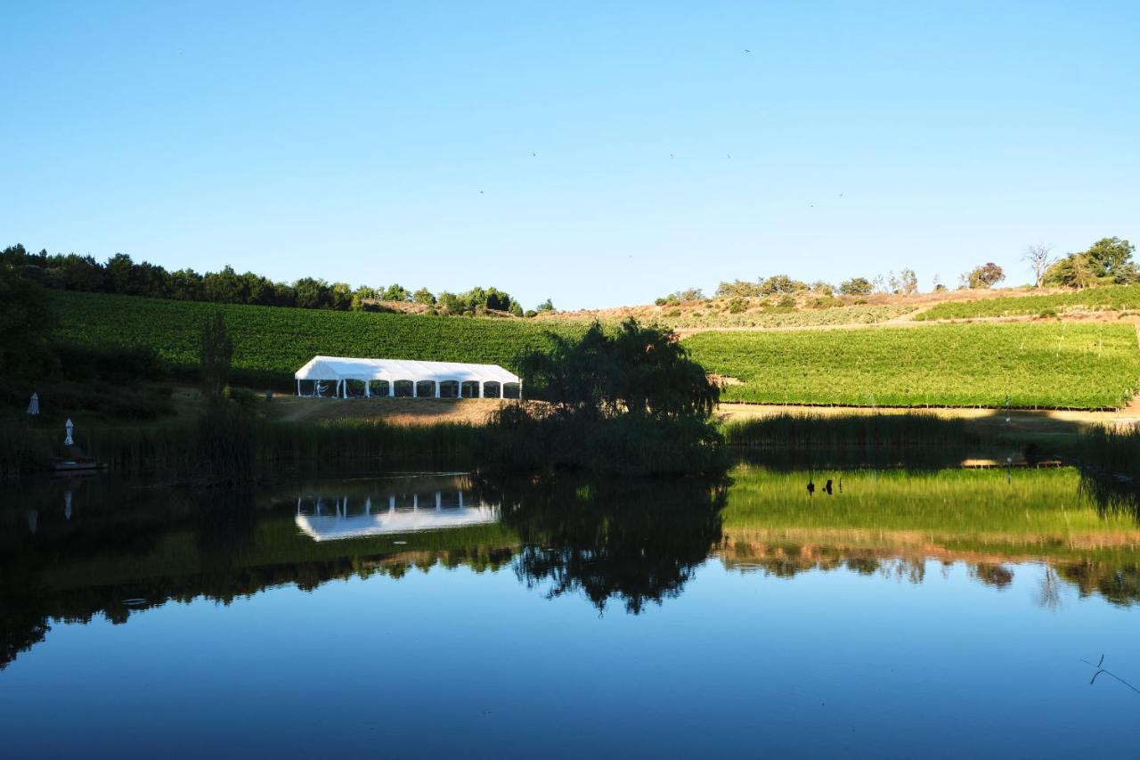 Alluvia Boutique Winery & Luxury Accommodation Stellenbosch Ngoại thất bức ảnh The vineyard at the winery