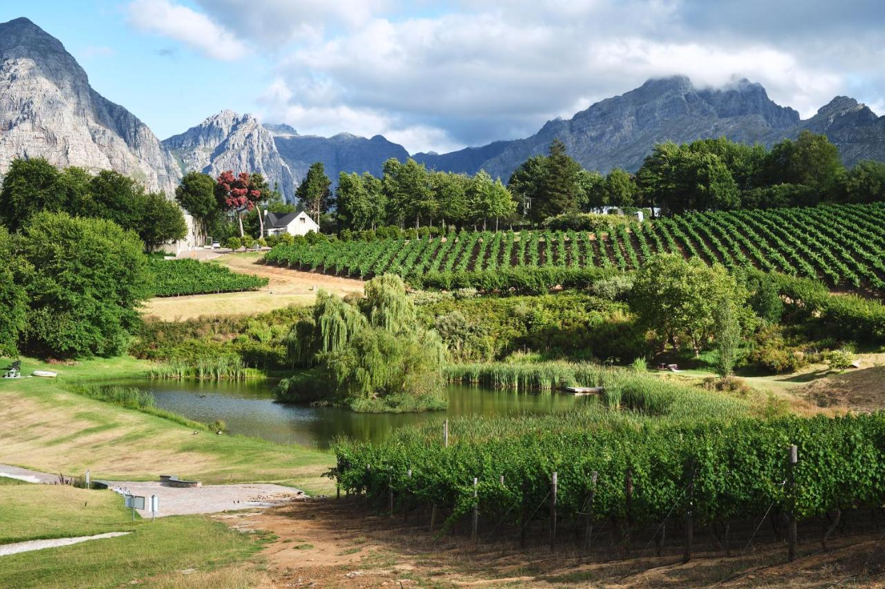 Alluvia Boutique Winery & Luxury Accommodation Stellenbosch Ngoại thất bức ảnh Wine estate in Stellenbosch