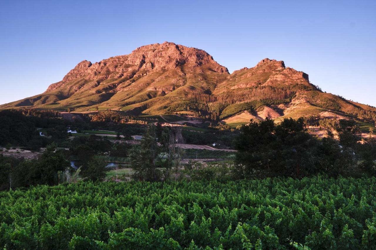 Alluvia Boutique Winery & Luxury Accommodation Stellenbosch Ngoại thất bức ảnh The Paarl Mountain
