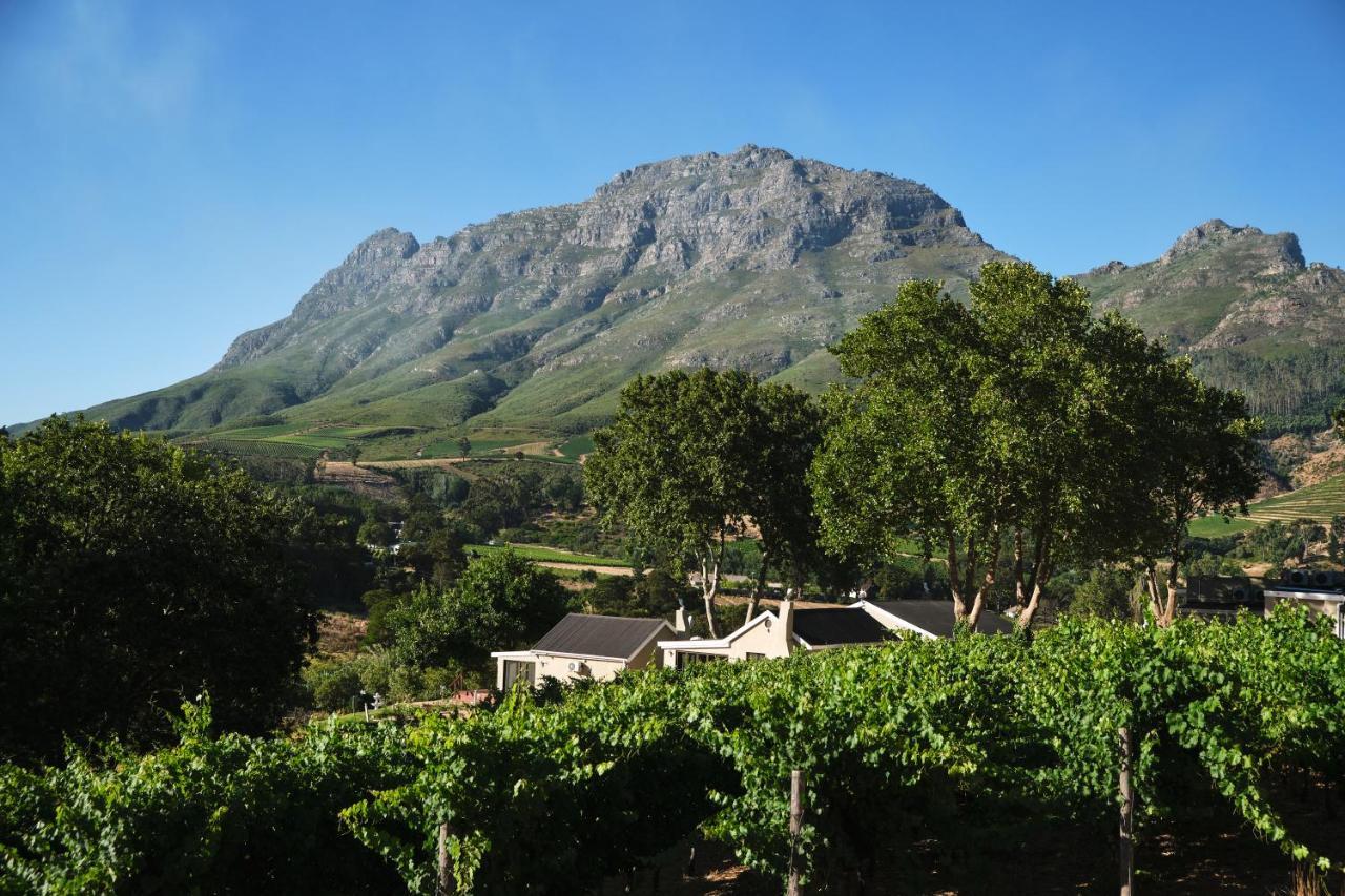 Alluvia Boutique Winery & Luxury Accommodation Stellenbosch Ngoại thất bức ảnh Wine estate in Stellenbosch