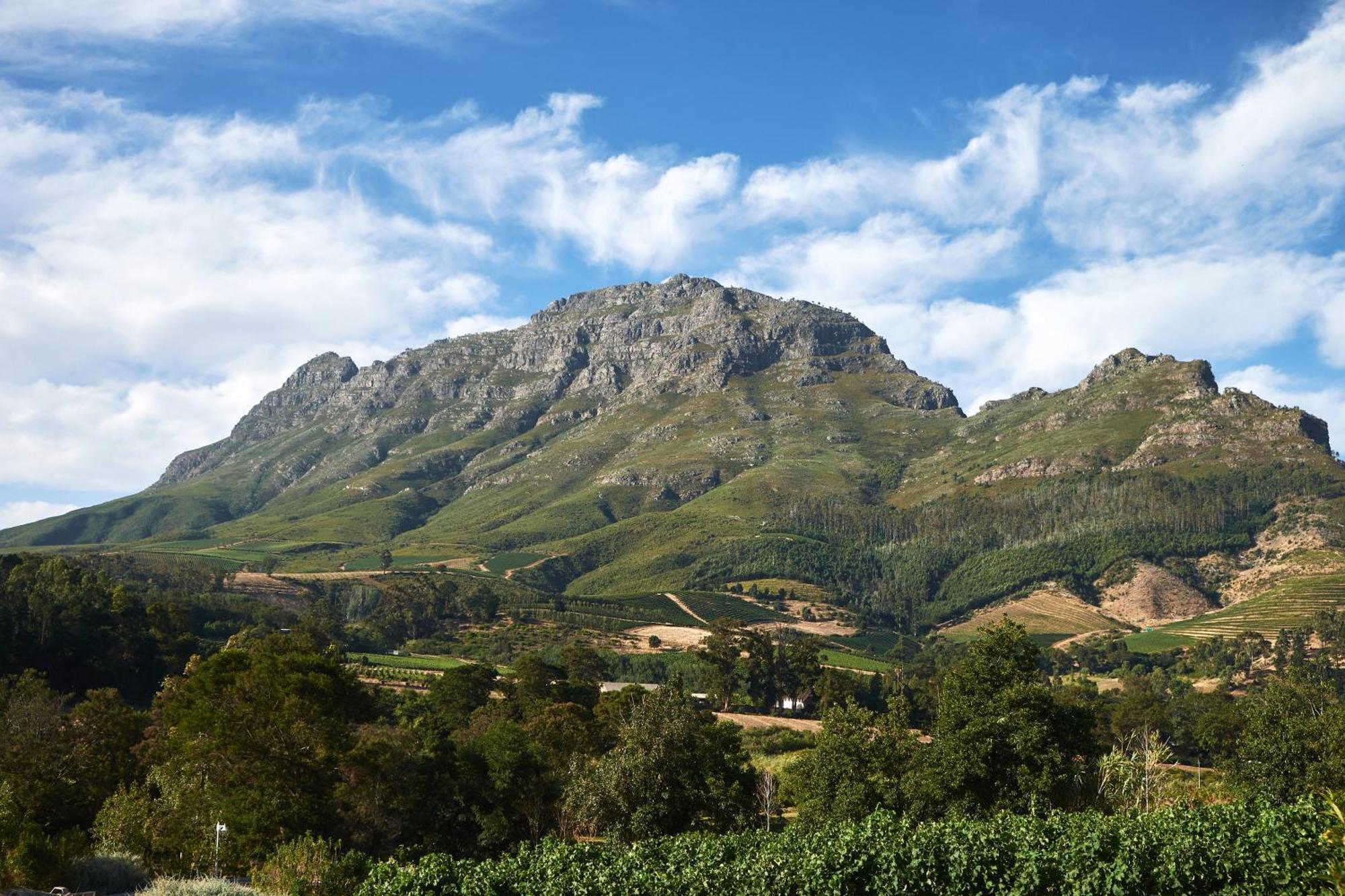 Alluvia Boutique Winery & Luxury Accommodation Stellenbosch Phòng bức ảnh The Helderberg