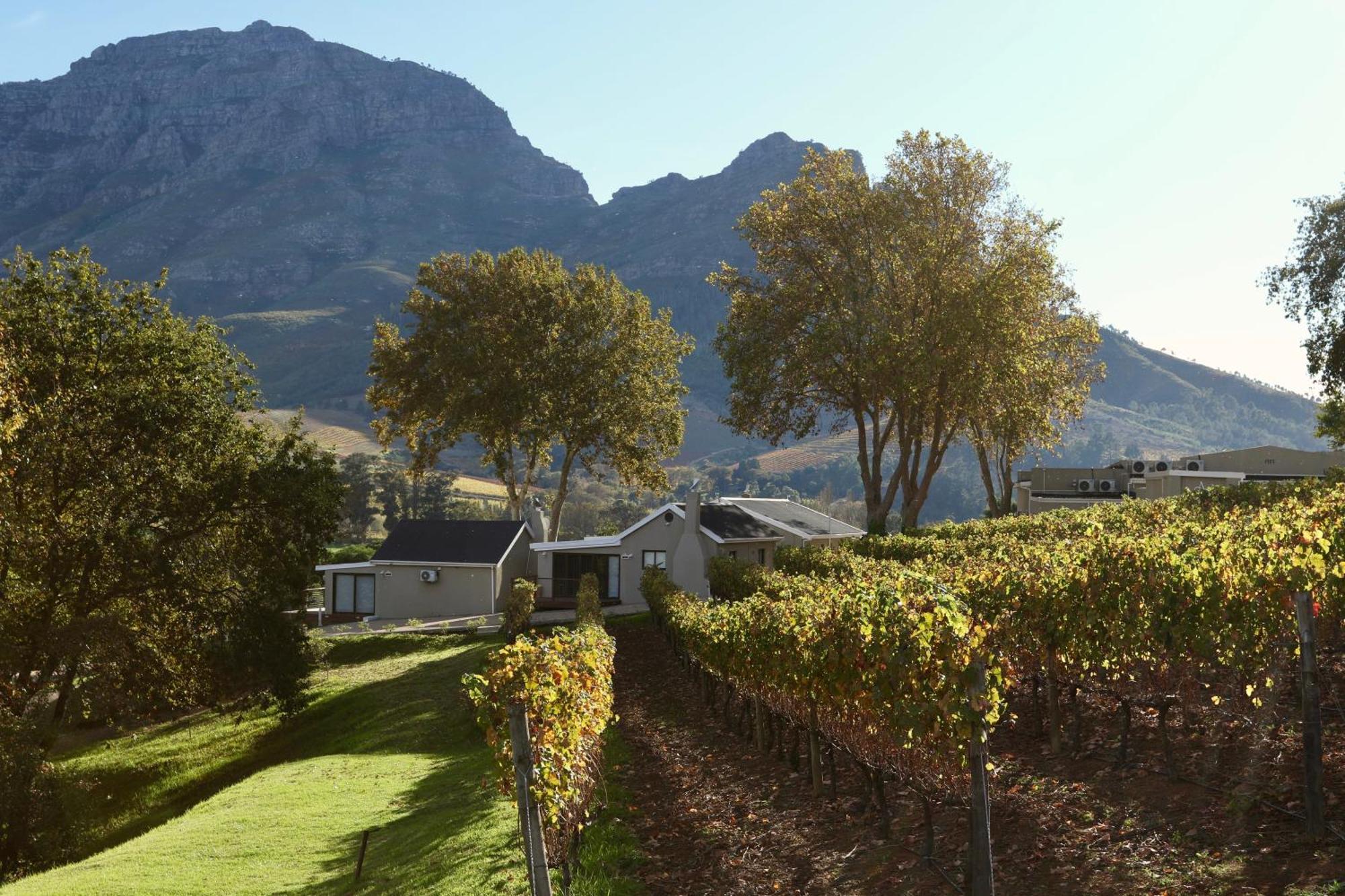 Alluvia Boutique Winery & Luxury Accommodation Stellenbosch Phòng bức ảnh Wine estate in Stellenbosch